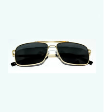 Boss Polarized Sunglass