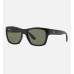 Ray.Ban Sunglass RB4194 Blk Shn, Drk Grn Lns 