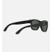 Ray.Ban Sunglass RB4194 Blk Shn, Drk Grn Lns 