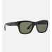 Ray.Ban Sunglass RB4194 Blk Shn, Drk Grn Lns 