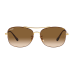 Ray Ban RB3799, GLD FRME, BRN LENS