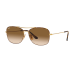 Ray Ban RB3799, GLD FRME, BRN LENS